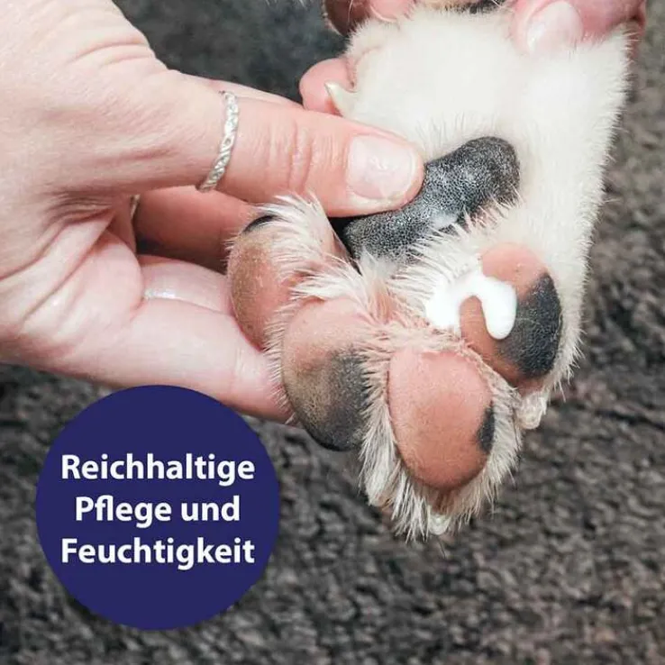 Canosept Pfotenpflege Gel für Hunde, 75 g