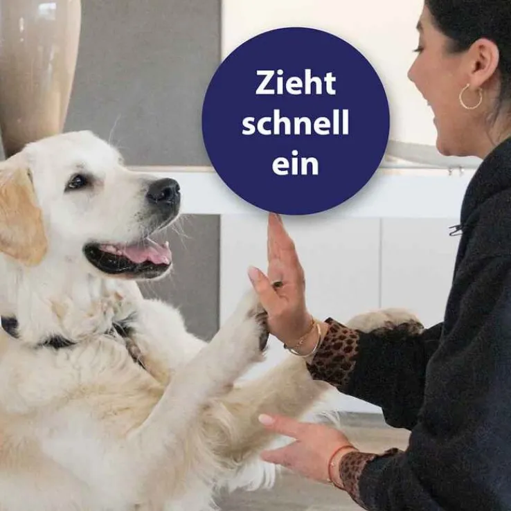 Canosept Pfotenpflege Gel für Hunde, 75 g