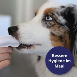 Canosept Zahnpflege Finger-Pads für Hunde, 50 St