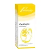 Cantharis Similiaplex Tropfe, 50 ml