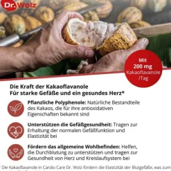 Cardio Care Dr. Wolz Kapseln, 60 St
