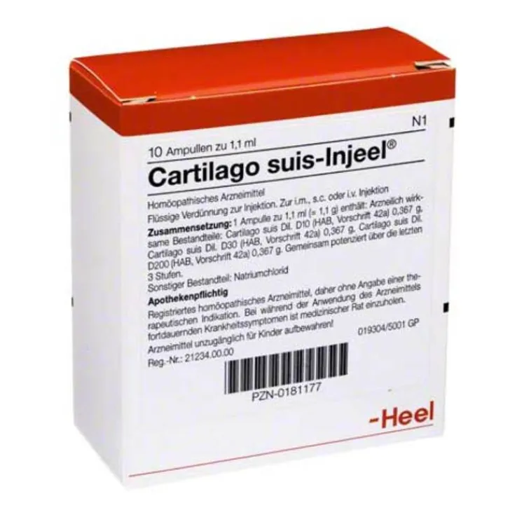 Cartilago suis Injeel Ampullen, 10 St