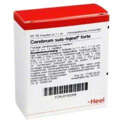Cerebrum Suis Injeel forte Ampullen, 10 St