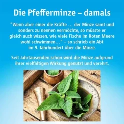 China Öl Hals- und Hustenbonbons ohne Zucker, 40 g