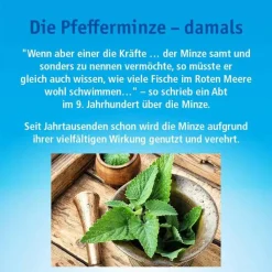 China Oel kutan Flüssigkeit zur Anwendung auf der Haut, 10 ml