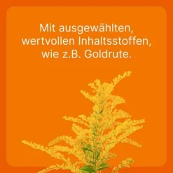 Coenzyme compositum® ad us. vet. Ampullen (2,2 ml), 10 St