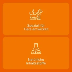 Coenzyme compositum® ad us. vet. Ampullen (2,2 ml), 10 St