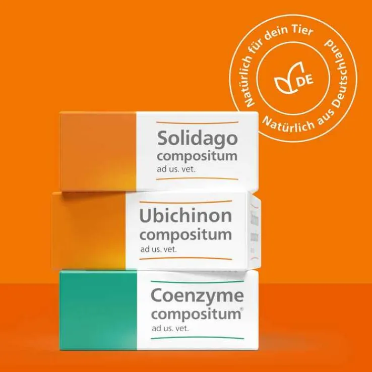 Coenzyme compositum® ad us. vet. Ampullen (2,2 ml), 10 St
