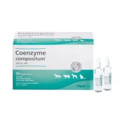 Coenzyme compositum® ad us. vet. Ampullen, 50X5 ml