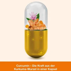 Curcumin-loges Kapseln, 60 St