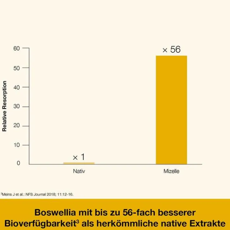 Curcumin-Loges plus Boswellia Kapseln, 60 St
