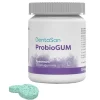 Dentasan Probiogum Spearmint Kaugummi, 30 St