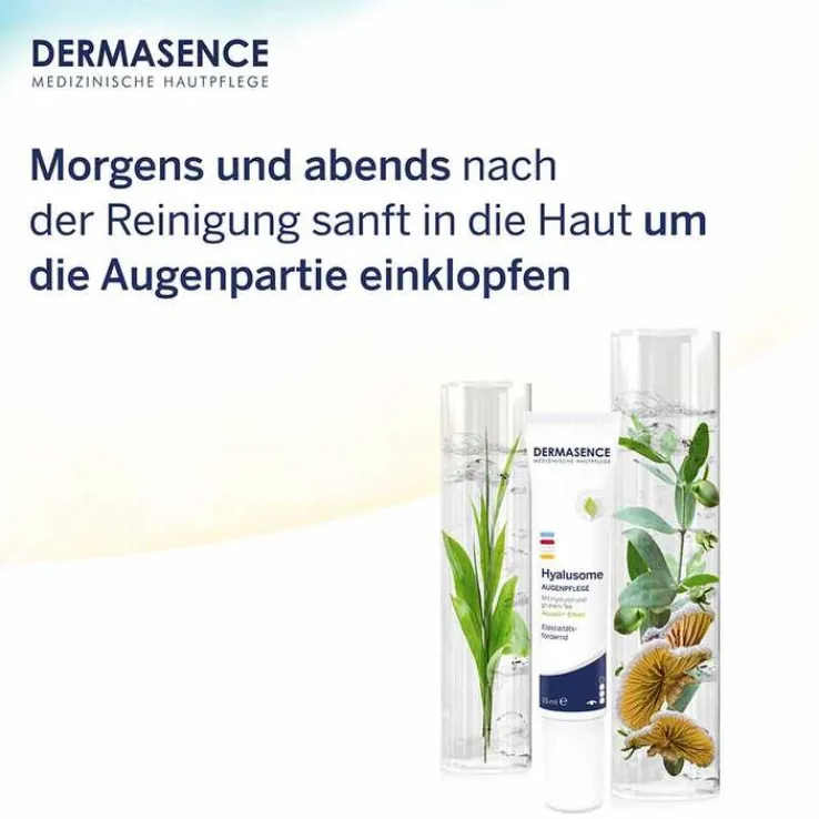 Dermasence Hyalusome Augenpflege, 15 ml