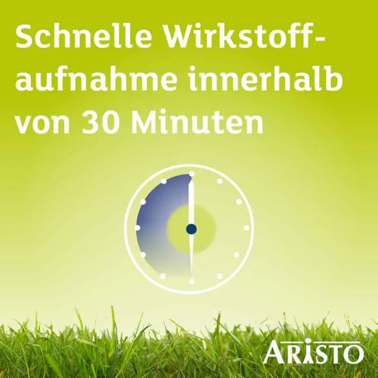 Desloratadin Aristo® Antiallergikum 5 mg Filmtabletten, 20 St