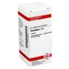 DHU Absinthium D 6 Tabletten, 80 St