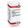 DHU Acidum phosphoricum C 12 Globuli, 10 g