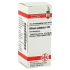 DHU Allium sativum C 30 Globuli, 10 g