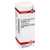 DHU Camphora D 6 Dilution, 20 ml