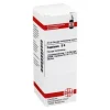 DHU Capsicum D 6 Dilution, 20 ml