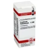 DHU Causticum Hahnemanni C 200 G, 10 g