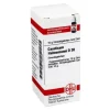 DHU Causticum Hahnemanni D 30 Gl, 10 g