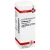 DHU Chelidonium D 6 Dilution, 20 ml