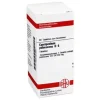 DHU Cypripedium pubescens D 6 Tabletten, 80 St