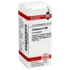 DHU Echinacea HAB C 200 Globuli, 10 g
