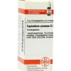 DHU Equisetum arvense D 30 Globuli, 10 g