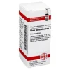 DHU Rhus toxicodendron D 200 Globuli, 10 g