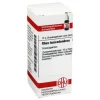 DHU Rhus toxicodendron D 4 Globuli, 10 g