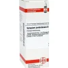 DHU Syzygium jambolanum D 6 Dilution, 20 ml