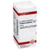 DHU Thallium metallicum D 6 Tabletten, 80 St