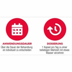 D3 + K2 Vit AL 4000 I.E. / 80 µg Kapseln, 90 St