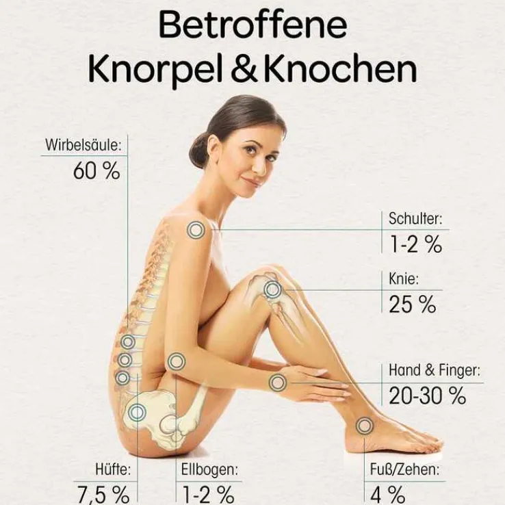 Dr. Böhm Knorpel & Knochen Tabletten, 120 St