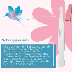 Earlibird Ultrafrüh Schwangerschaftstest Urin, 1 St