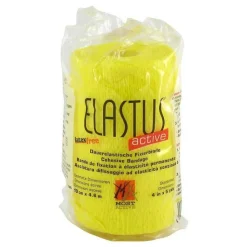 Elastus Active Bandage 10cmx, 1 St