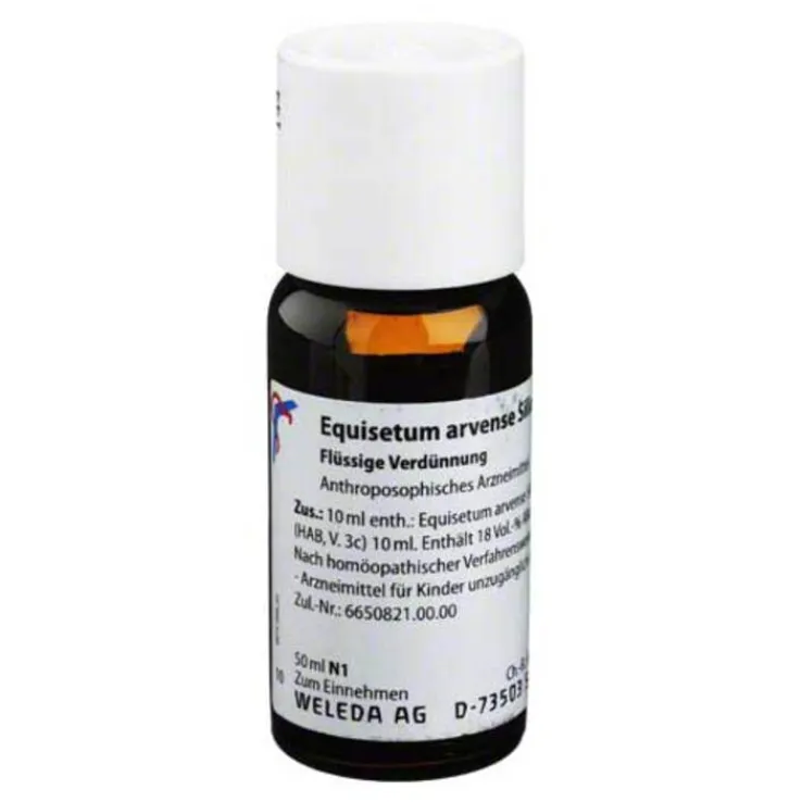 Equisetum arvense silicea cultum D 2 Dilution, 50 ml