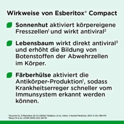 Esberitox® Compact Bei Erkältungskrankheiten, 60 St