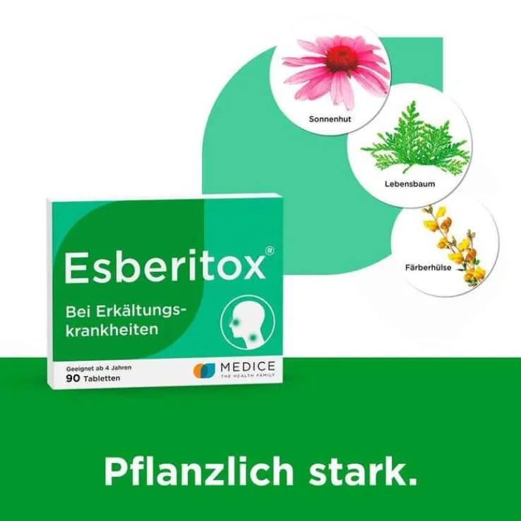 Esberitox® Tabletten bei Erkältungskrankheiten, 90 St