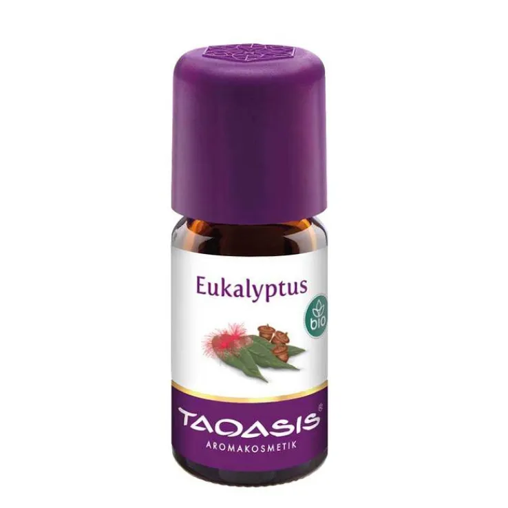 Eukalyptus Öl Bio, 5 ml