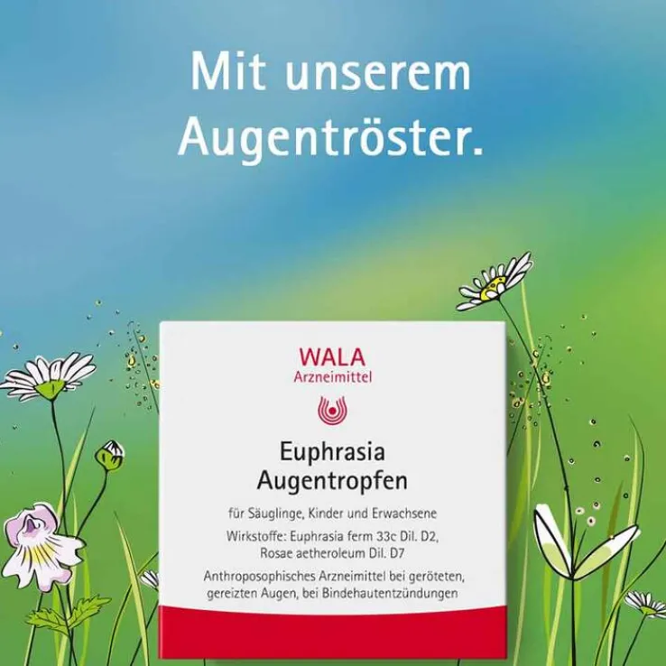 Euphrasia Augentropfen, 5X0.5 ml
