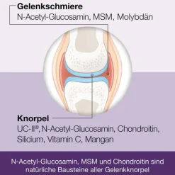 Flexiloges Knorpel aktiv Kapseln, 120 St