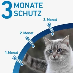 FRONTLINE® SPOT ON Katze , 3 St