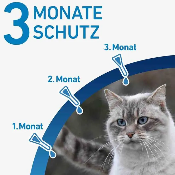 FRONTLINE® SPOT ON Katze , 3 St