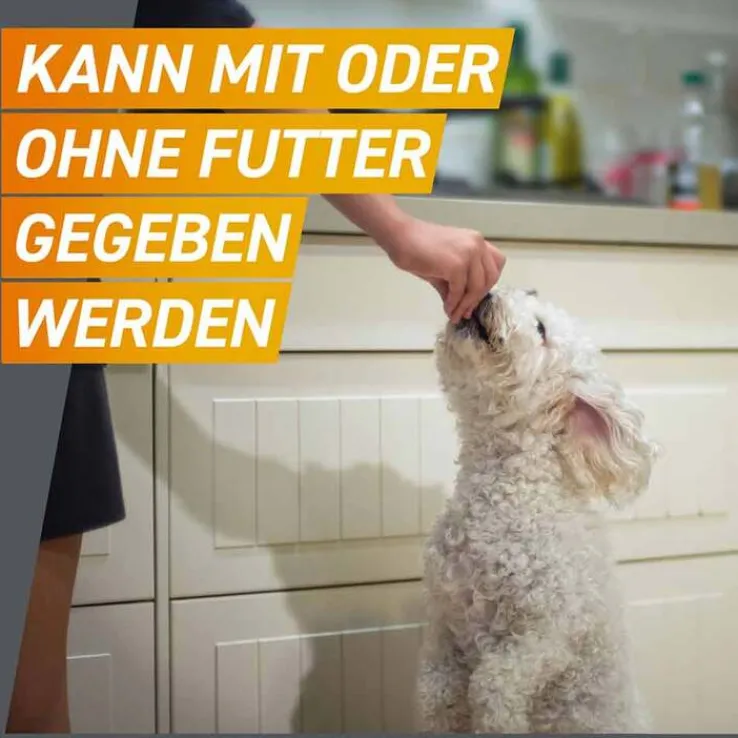 FRONTPRO 68 mg Kautabletten für Hunde 10 - 25 kg, 3 St
