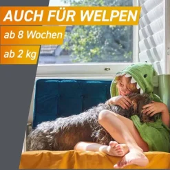 FRONTPRO 68 mg Kautabletten für Hunde 10 - 25 kg, 3 St