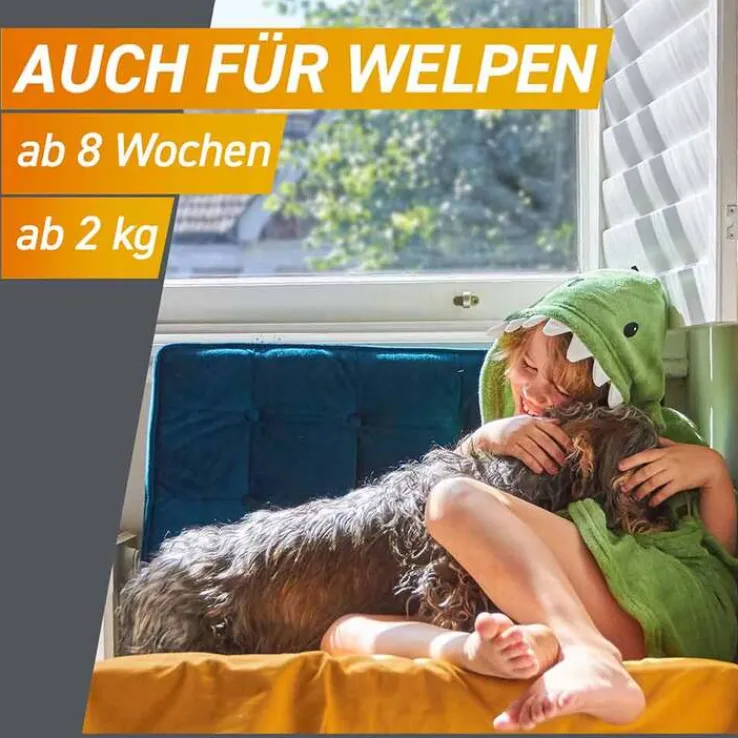 FRONTPRO 68 mg Kautabletten für Hunde 10 - 25 kg, 3 St