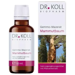 Gemmo Mazerat Mammutbaum Dr. Koll Sequoia gigantea, 50 ml