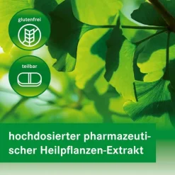 GINKGOVITAL Heumann 120 mg Filmtabletten, 30 St